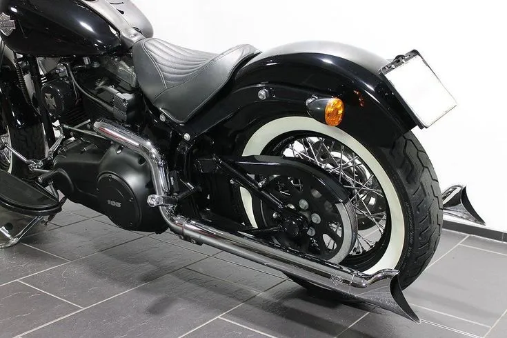 Harley-Davidson FLS Image 1